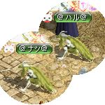 テイマのペットn