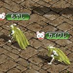 テイマのペットn