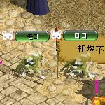 テイマのペットn