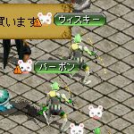 テイマのペットn