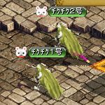 テイマのペットn