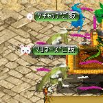 テイマのペットn