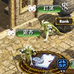 テイマのペットn