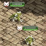 テイマのペットn