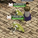 テイマのペットn