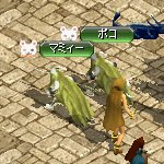 テイマのペットn