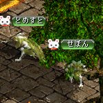 テイマのペットn