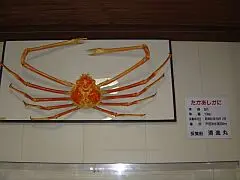カニ